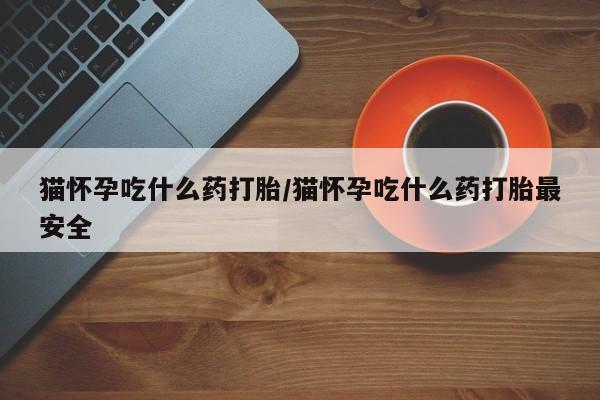 卖打胎药流产药微信猫怀孕吃什么药打胎/猫怀孕吃什么药打胎最安全