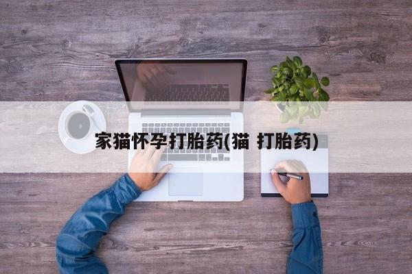 卖打胎药流产药微信家猫怀孕打胎药(猫 打胎药)